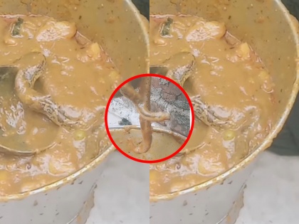 Alive Snake Found in Vegetable Curry at Food Service Outlet in Bhandara (Watch) | Alive Snake Found in Vegetable Curry at Food Service Outlet in Bhandara (Watch)