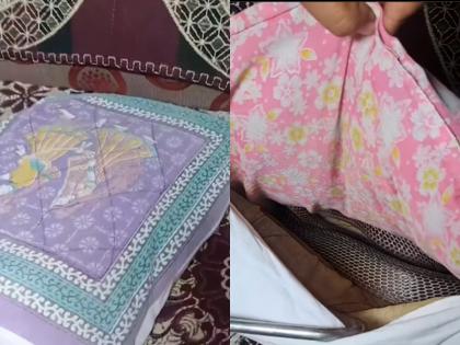 Watch: Deadly Snake Found Hiding Inside Pillow Cover in Nagpur; Viral Video Sparks Alarm | Watch: Deadly Snake Found Hiding Inside Pillow Cover in Nagpur; Viral Video Sparks Alarm Watch: Deadly Snake Found Hiding Inside Pillow Cover in Nagpur; Viral Video Sparks Alarm | Watch: Deadly Snake Found Hiding Inside Pillow Cover in Nagpur; Viral Video Sparks Alarm
