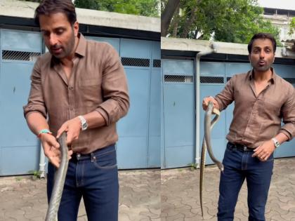 Sonu Sood Turns Real-Life Hero, Rescues Snake from Society with Bare Hands, Urges Netizens to Be Alert (Watch Video) | Sonu Sood Turns Real-Life Hero, Rescues Snake from Society with Bare Hands, Urges Netizens to Be Alert (Watch Video)