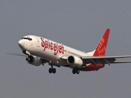 SpiceJet to Lay Off 1,400 Employees Amid Financial Woes | SpiceJet to Lay Off 1,400 Employees Amid Financial Woes