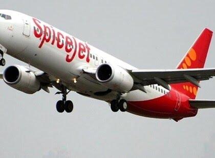 SpiceJet Flight Returns to Delhi Due to Bird Hit on Engine: | SpiceJet Flight Returns to Delhi Due to Bird Hit on Engine: