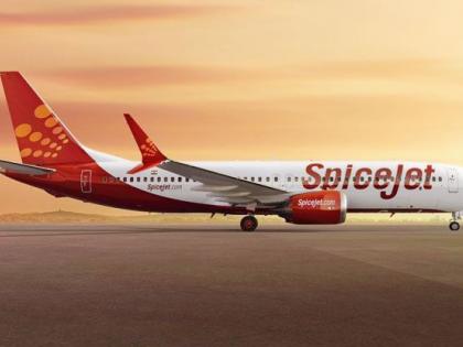 Spicejet hit by ransomware attack; flights operations affected | Spicejet hit by ransomware attack; flights operations affected