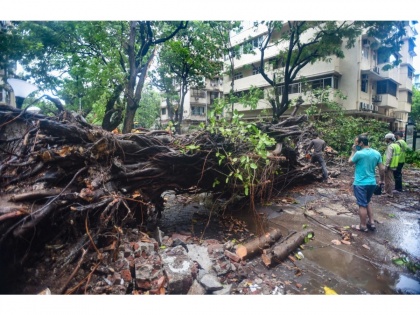 Cyclone Nisarga: Two dead, three injured due to storm in Pune | Cyclone Nisarga: Two dead, three injured due to storm in Pune