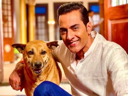'Anupama' Actor Sudhanshu Pandey Seek Justice for Murdered Society Dog | 'Anupama' Actor Sudhanshu Pandey Seek Justice for Murdered Society Dog