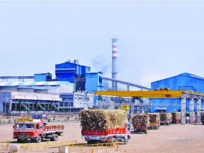 Sugar mills in Maharashtra expected to start crushing by Nov 10 | Sugar mills in Maharashtra expected to start crushing by Nov 10