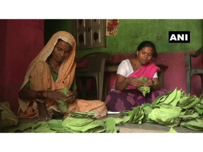 Maharashtra: 44 village panchayats join hands to auction tendu leaves in Gondia | Maharashtra: 44 village panchayats join hands to auction tendu leaves in Gondia