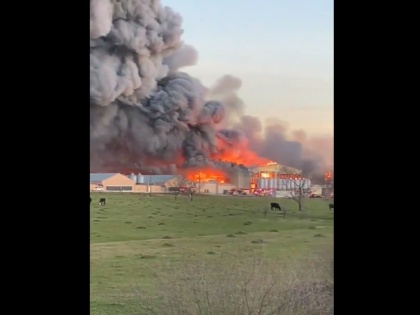 Texas Fire: Major Blaze Erupts at Chicken Farm in Northeast Brazos County; Watch Vido | Texas Fire: Major Blaze Erupts at Chicken Farm in Northeast Brazos County; Watch Vido