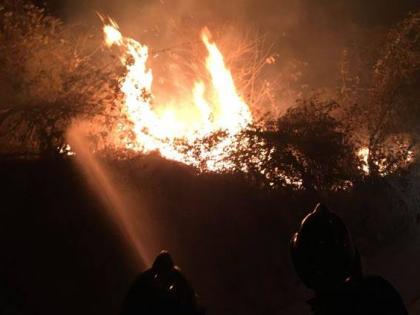Fire breaks out in Mumbai's Sanjay Gandhi National Park | Fire breaks out in Mumbai's Sanjay Gandhi National Park