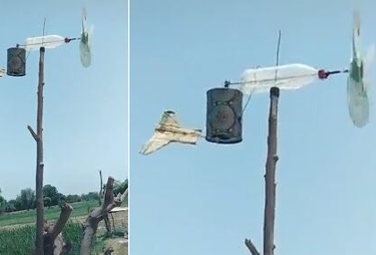 Watch Video! Farmer comes up with a DIY hack to scare locusts away | Watch Video! Farmer comes up with a DIY hack to scare locusts away