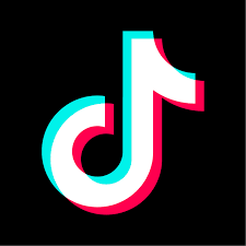 TikTok goes completely offline in India after Govt issues ban | TikTok goes completely offline in India after Govt issues ban