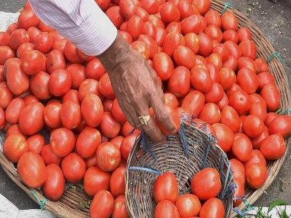 Tomato prices in Chennai touch Rs.170 per kg, more surge likely | Tomato prices in Chennai touch Rs.170 per kg, more surge likely