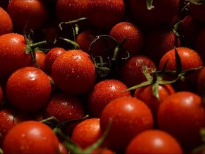 Thane: Amid soaring rates, Women receives 4 kg of tomatoes as birthday gift | Thane: Amid soaring rates, Women receives 4 kg of tomatoes as birthday gift
