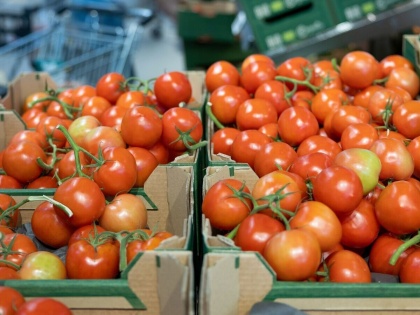 Tomato prices expected to reduce after higher supplies from Maharashtra says Centre | Tomato prices expected to reduce after higher supplies from Maharashtra says Centre