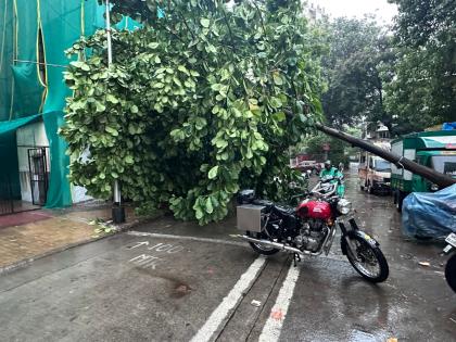 Mumbai: House Collapse, 25 Fire Cases Among 79 Rain-Related Incidents as Early Monsoon Causes Chaos Across City | Mumbai: House Collapse, 25 Fire Cases Among 79 Rain-Related Incidents as Early Monsoon Causes Chaos Across City Mumbai: House Collapse, 25 Fire Cases Among 79 Rain-Related Incidents as Early Monsoon Causes Chaos Across City | Mumbai: House Collapse, 25 Fire Cases Among 79 Rain-Related Incidents as Early Monsoon Causes Chaos Across City