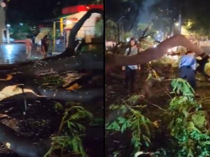 Mumbai: Two Injured After Tree Falls in Powai Due to Heavy Rains (Watch Video) | Mumbai: Two Injured After Tree Falls in Powai Due to Heavy Rains (Watch Video) Mumbai: Two Injured After Tree Falls in Powai Due to Heavy Rains (Watch Video) | Mumbai: Two Injured After Tree Falls in Powai Due to Heavy Rains (Watch Video)