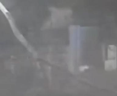 Massive Tree Falls on Scooter in Virar: Delivery Boy Narrowly Escapes Death; Video Surfaces | Massive Tree Falls on Scooter in Virar: Delivery Boy Narrowly Escapes Death; Video Surfaces Massive Tree Falls on Scooter in Virar: Delivery Boy Narrowly Escapes Death; Video Surfaces | Massive Tree Falls on Scooter in Virar: Delivery Boy Narrowly Escapes Death; Video Surfaces