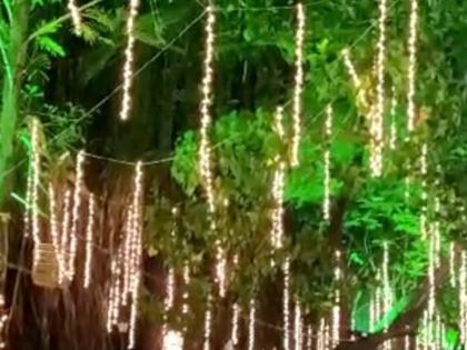 Navi Mumbai: NMMC Imposes Rs 10,000 Fine for Damaging Trees With Ads or Lights | Navi Mumbai: NMMC Imposes Rs 10,000 Fine for Damaging Trees With Ads or Lights Navi Mumbai: NMMC Imposes Rs 10,000 Fine for Damaging Trees With Ads or Lights | Navi Mumbai: NMMC Imposes Rs 10,000 Fine for Damaging Trees With Ads or Lights