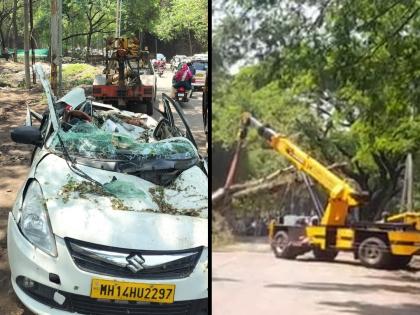 Pune: Heavy Rains Uproot 372 Trees in 20 Days, Causing Traffic Chaos and Vehicle Damage | Pune: Heavy Rains Uproot 372 Trees in 20 Days, Causing Traffic Chaos and Vehicle Damage