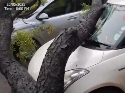 Pune: Two Hoardings Collapse, 15 Trees Uprooted Due to Heavy Rains | Pune: Two Hoardings Collapse, 15 Trees Uprooted Due to Heavy Rains Pune: Two Hoardings Collapse, 15 Trees Uprooted Due to Heavy Rains | Pune: Two Hoardings Collapse, 15 Trees Uprooted Due to Heavy Rains