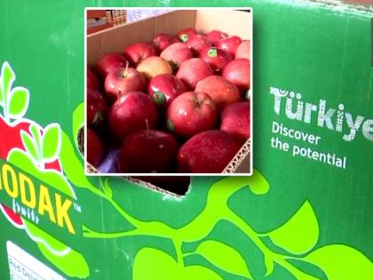 India's Ban Turkey' Campaign Impacts Pune's Apple Market, Business Worth ₹1,200 Crore Hit | India's Ban Turkey' Campaign Impacts Pune's Apple Market, Business Worth ₹1,200 Crore Hit India's Ban Turkey' Campaign Impacts Pune's Apple Market, Business Worth ₹1,200 Crore Hit | India's Ban Turkey' Campaign Impacts Pune's Apple Market, Business Worth ₹1,200 Crore Hit