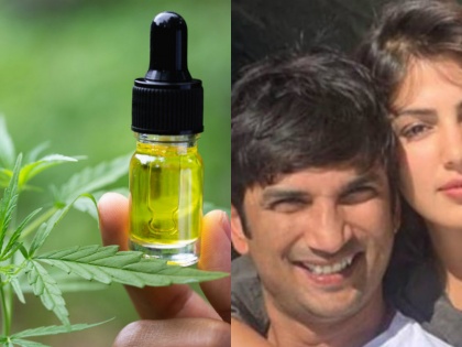 Rhea allegedly administered heavy dose of Cannabis oil to Sushant | Rhea allegedly administered heavy dose of Cannabis oil to Sushant