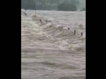Thane Rains: Man Missing After Being Swept Away in Ulhas River During Heavy Downpour | Thane Rains: Man Missing After Being Swept Away in Ulhas River During Heavy Downpour
