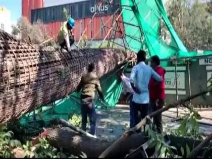 Mother-son duo killed in Metro pillar collapse in Bengaluru | Mother-son duo killed in Metro pillar collapse in Bengaluru Mother-son duo killed in Metro pillar collapse in Bengaluru | Mother-son duo killed in Metro pillar collapse in Bengaluru