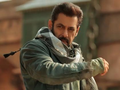 Unidentified Man Enters Salman Khan's Shooting Location in Mumbai, Mentions 'Lawrence Bishnoi': Reports