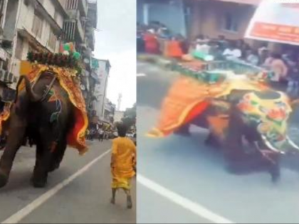 Jagannath Rath Yatra 2025: Major Mishap Averted as Elephant Runs Amok in Ahmedabad (Watch Video) | Jagannath Rath Yatra 2025: Major Mishap Averted as Elephant Runs Amok in Ahmedabad (Watch Video) Jagannath Rath Yatra 2025: Major Mishap Averted as Elephant Runs Amok in Ahmedabad (Watch Video) | Jagannath Rath Yatra 2025: Major Mishap Averted as Elephant Runs Amok in Ahmedabad (Watch Video)