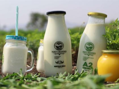 Why there is so much hype about A2 milk? Is it really a game changer? | Why there is so much hype about A2 milk? Is it really a game changer? Why there is so much hype about A2 milk? Is it really a game changer? | Why there is so much hype about A2 milk? Is it really a game changer?