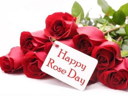 Rose Day 2024: History And Significance Of The First Day Of Valentine's Week | Rose Day 2024: History And Significance Of The First Day Of Valentine's Week