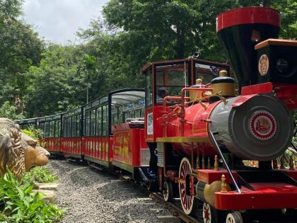 Sanjay Gandhi National Park Toy Train: Mumbai’s Van Rani To Set to Return on This Date at SGNP (See Pics and Video) | Sanjay Gandhi National Park Toy Train: Mumbai’s Van Rani To Set to Return on This Date at SGNP (See Pics and Video) Sanjay Gandhi National Park Toy Train: Mumbai’s Van Rani To Set to Return on This Date at SGNP (See Pics and Video) | Sanjay Gandhi National Park Toy Train: Mumbai’s Van Rani To Set to Return on This Date at SGNP (See Pics and Video)