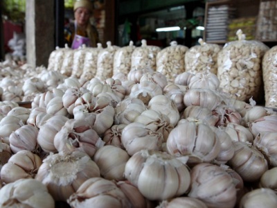 Vashi Wholesale Garlic Market Sees Surge in Supply, Prices Expected to Fall | Vashi Wholesale Garlic Market Sees Surge in Supply, Prices Expected to Fall