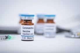 Oxford's coronavirus vaccine finds success in small monkeys | Oxford's coronavirus vaccine finds success in small monkeys