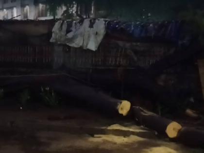 Mumbai Rains: Tree Falls on Youths in Vikhroli, One Killed; Residents Demand Action | Mumbai Rains: Tree Falls on Youths in Vikhroli, One Killed; Residents Demand Action