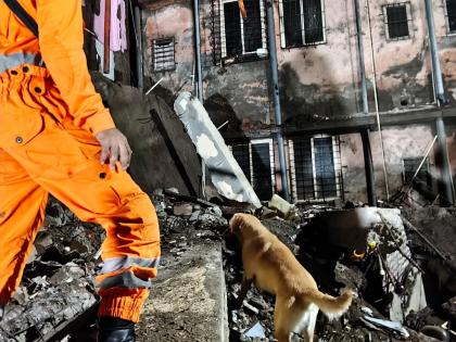 Virar Building Collapse: Five Arrested After 17 Dead, Nine Injured in Tragedy; Crime Branch Investigates Case | Virar Building Collapse: Five Arrested After 17 Dead, Nine Injured in Tragedy; Crime Branch Investigates Case Virar Building Collapse: Five Arrested After 17 Dead, Nine Injured in Tragedy; Crime Branch Investigates Case | Virar Building Collapse: Five Arrested After 17 Dead, Nine Injured in Tragedy; Crime Branch Investigates Case