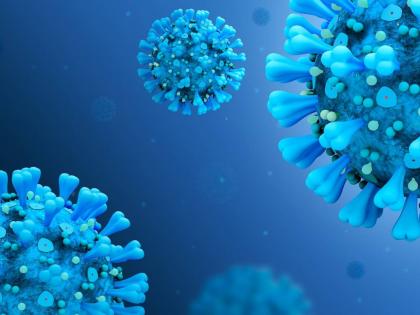 HMPV Outbreak in India: 8-Year-Old From Sabarkantha Found Positive for Human Metapneumovirus; Cases in Gujarat Rise to 3 | HMPV Outbreak in India: 8-Year-Old From Sabarkantha Found Positive for Human Metapneumovirus; Cases in Gujarat Rise to 3 HMPV Outbreak in India: 8-Year-Old From Sabarkantha Found Positive for Human Metapneumovirus; Cases in Gujarat Rise to 3 | HMPV Outbreak in India: 8-Year-Old From Sabarkantha Found Positive for Human Metapneumovirus; Cases in Gujarat Rise to 3