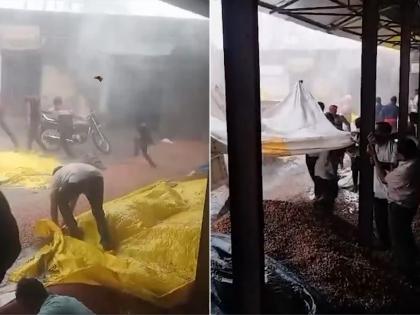 Washim Rains: Tur, Turmeric Crops Damaged as Downpour Continues for 4th Day; IMD Issues Yellow Alert for Several Districts In Maharashtra | Washim Rains: Tur, Turmeric Crops Damaged as Downpour Continues for 4th Day; IMD Issues Yellow Alert for Several Districts In Maharashtra Washim Rains: Tur, Turmeric Crops Damaged as Downpour Continues for 4th Day; IMD Issues Yellow Alert for Several Districts In Maharashtra | Washim Rains: Tur, Turmeric Crops Damaged as Downpour Continues for 4th Day; IMD Issues Yellow Alert for Several Districts In Maharashtra