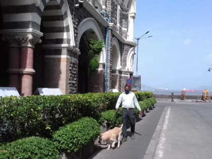 Mumbai: Taj hotel receives bomb threat call, BDDS team arrives at spot | Mumbai: Taj hotel receives bomb threat call, BDDS team arrives at spot
