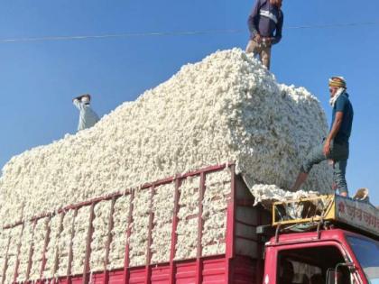 Jalna: Truck loaded with cotton worth over Rs 13 lakhs stolen in Partur | Jalna: Truck loaded with cotton worth over Rs 13 lakhs stolen in Partur Jalna: Truck loaded with cotton worth over Rs 13 lakhs stolen in Partur | Jalna: Truck loaded with cotton worth over Rs 13 lakhs stolen in Partur