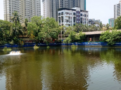 From Velvet Pond to Modern Oasis: The Story of Thane's Makhmali Lake | From Velvet Pond to Modern Oasis: The Story of Thane's Makhmali Lake