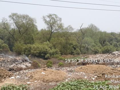 Mangroves Being Cleared in Thane District for PM Awaas Scheme ? Activists Sound Alert | Mangroves Being Cleared in Thane District for PM Awaas Scheme ? Activists Sound Alert