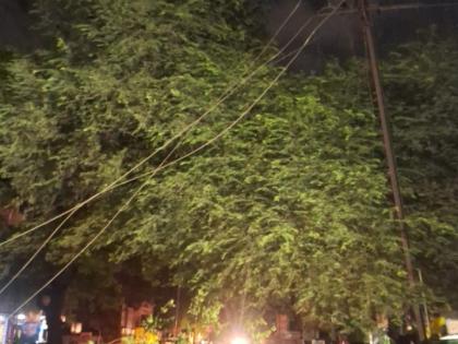 Nashik: Woman Injured and Vehicles Damaged After Ancient Giant Tree Falls on Pakhal Road | Nashik: Woman Injured and Vehicles Damaged After Ancient Giant Tree Falls on Pakhal Road Nashik: Woman Injured and Vehicles Damaged After Ancient Giant Tree Falls on Pakhal Road | Nashik: Woman Injured and Vehicles Damaged After Ancient Giant Tree Falls on Pakhal Road