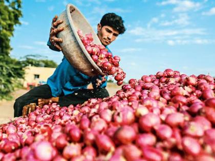 Nashik: Onion Farmers Disappointed as Prices Drop Amid High Supply | Nashik: Onion Farmers Disappointed as Prices Drop Amid High Supply Nashik: Onion Farmers Disappointed as Prices Drop Amid High Supply | Nashik: Onion Farmers Disappointed as Prices Drop Amid High Supply