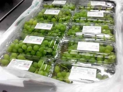 Nashik Farmers, Exporters Worried as US Hikes Import Duty on Agri Products to 26% | Nashik Farmers, Exporters Worried as US Hikes Import Duty on Agri Products to 26% Nashik Farmers, Exporters Worried as US Hikes Import Duty on Agri Products to 26% | Nashik Farmers, Exporters Worried as US Hikes Import Duty on Agri Products to 26%