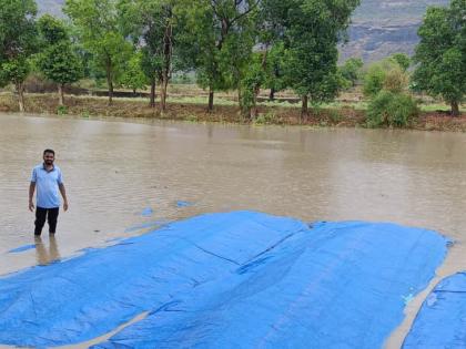 Nashik: Unseasonal Rains and Hailstorms Damage Crops on 4,240 Hectares, Over 15,000 Farmers Affected | Nashik: Unseasonal Rains and Hailstorms Damage Crops on 4,240 Hectares, Over 15,000 Farmers Affected Nashik: Unseasonal Rains and Hailstorms Damage Crops on 4,240 Hectares, Over 15,000 Farmers Affected | Nashik: Unseasonal Rains and Hailstorms Damage Crops on 4,240 Hectares, Over 15,000 Farmers Affected