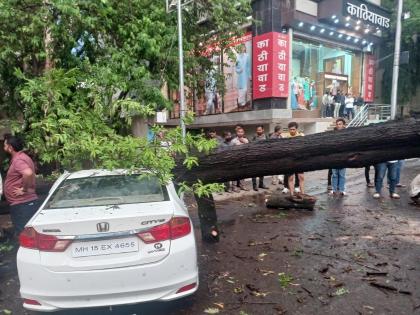 Rain and Winds Cripple Nashik’s Power Supply as Trees Crash onto Power Lines | Rain and Winds Cripple Nashik’s Power Supply as Trees Crash onto Power Lines Rain and Winds Cripple Nashik’s Power Supply as Trees Crash onto Power Lines | Rain and Winds Cripple Nashik’s Power Supply as Trees Crash onto Power Lines