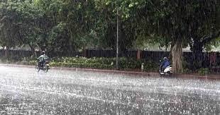 Nashik Weather Forecast: IMD Issues Yellow Alert for Next Two Days Amid Heavy Rain | Nashik Weather Forecast: IMD Issues Yellow Alert for Next Two Days Amid Heavy Rain