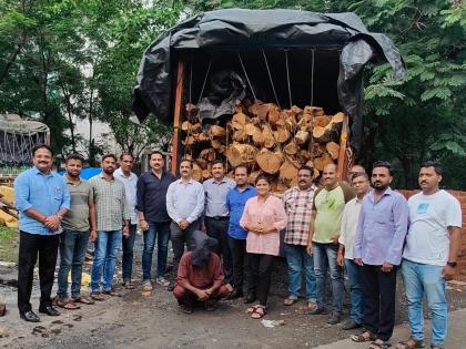 Thane: Man Caught Smuggling Rs 31.72 Lakh Worth of Khair Timber, Truck Seized | Thane: Man Caught Smuggling Rs 31.72 Lakh Worth of Khair Timber, Truck Seized