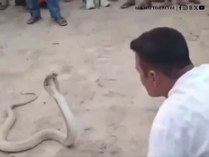 Bihar News: Snake Rescuer Dies After Cobra Bite During Rescue Mission | Bihar News: Snake Rescuer Dies After Cobra Bite During Rescue Mission Bihar News: Snake Rescuer Dies After Cobra Bite During Rescue Mission | Bihar News: Snake Rescuer Dies After Cobra Bite During Rescue Mission
